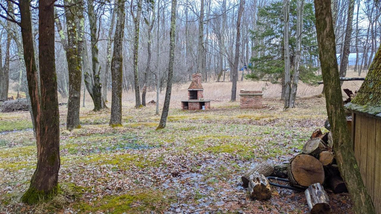 Bluebird Manor On The Water, 2 Acres & Amenities Vila Liberty Exterior foto